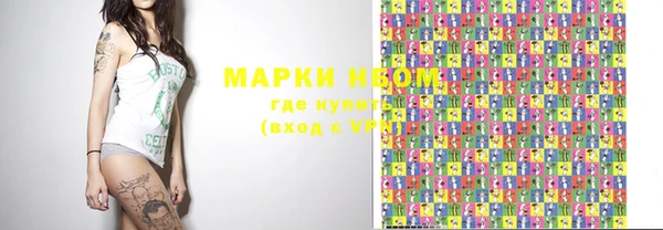индика Белокуриха
