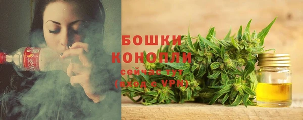 гидропоника Белоозёрский