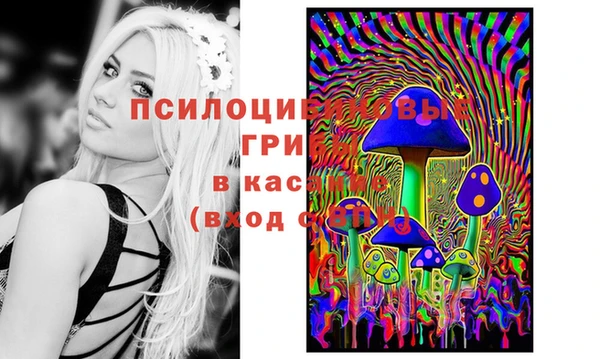 гидропоника Белоозёрский