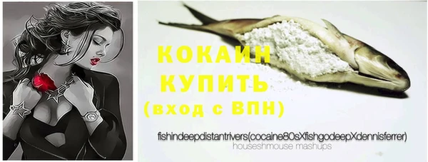 индика Белокуриха