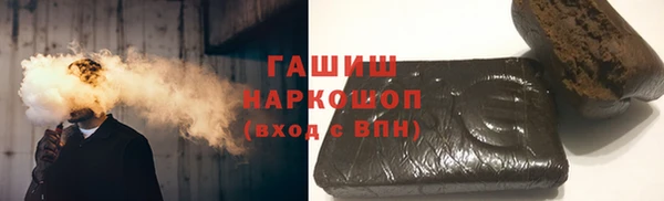 индика Белокуриха