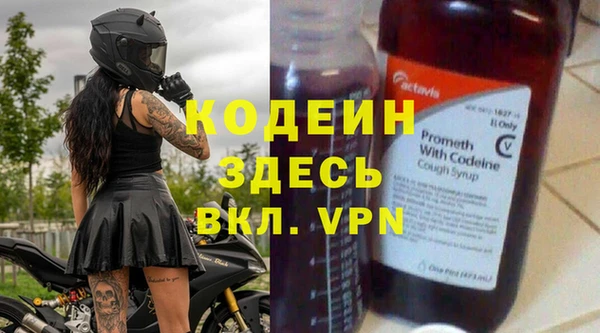 индика Белокуриха
