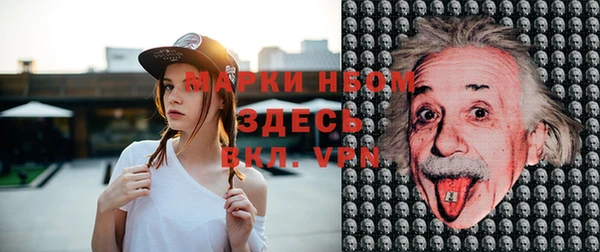 индика Белокуриха