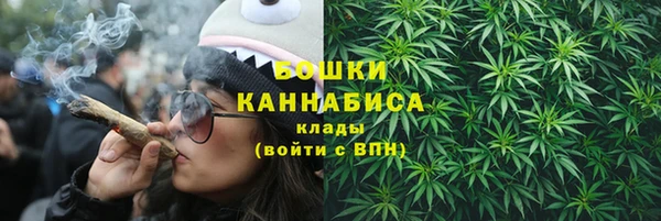 индика Белокуриха