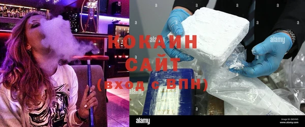 индика Белокуриха