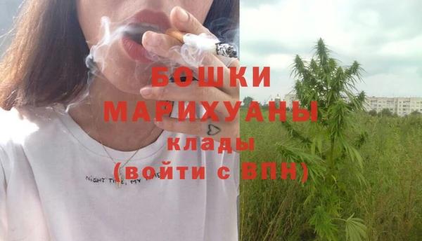 индика Белокуриха