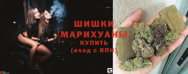 индика Белокуриха