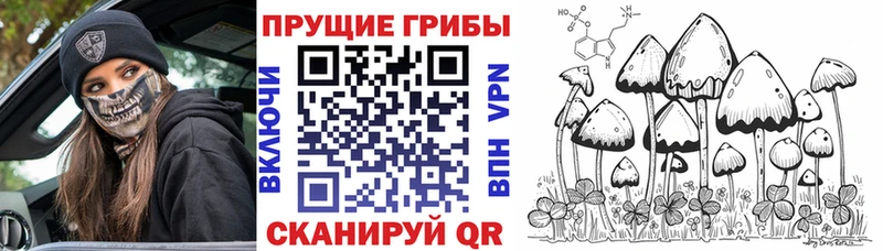 Галлюциногенные грибы GOLDEN TEACHER  магазин продажи наркотиков  Верхний Уфалей 