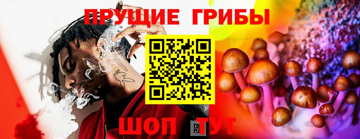 Псилоцибиновые грибы Cubensis  Вход с VPN  наркотики  Верхний Уфалей 